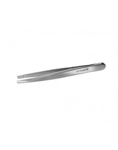 STALEKS EXPERT 10 TYPE 1